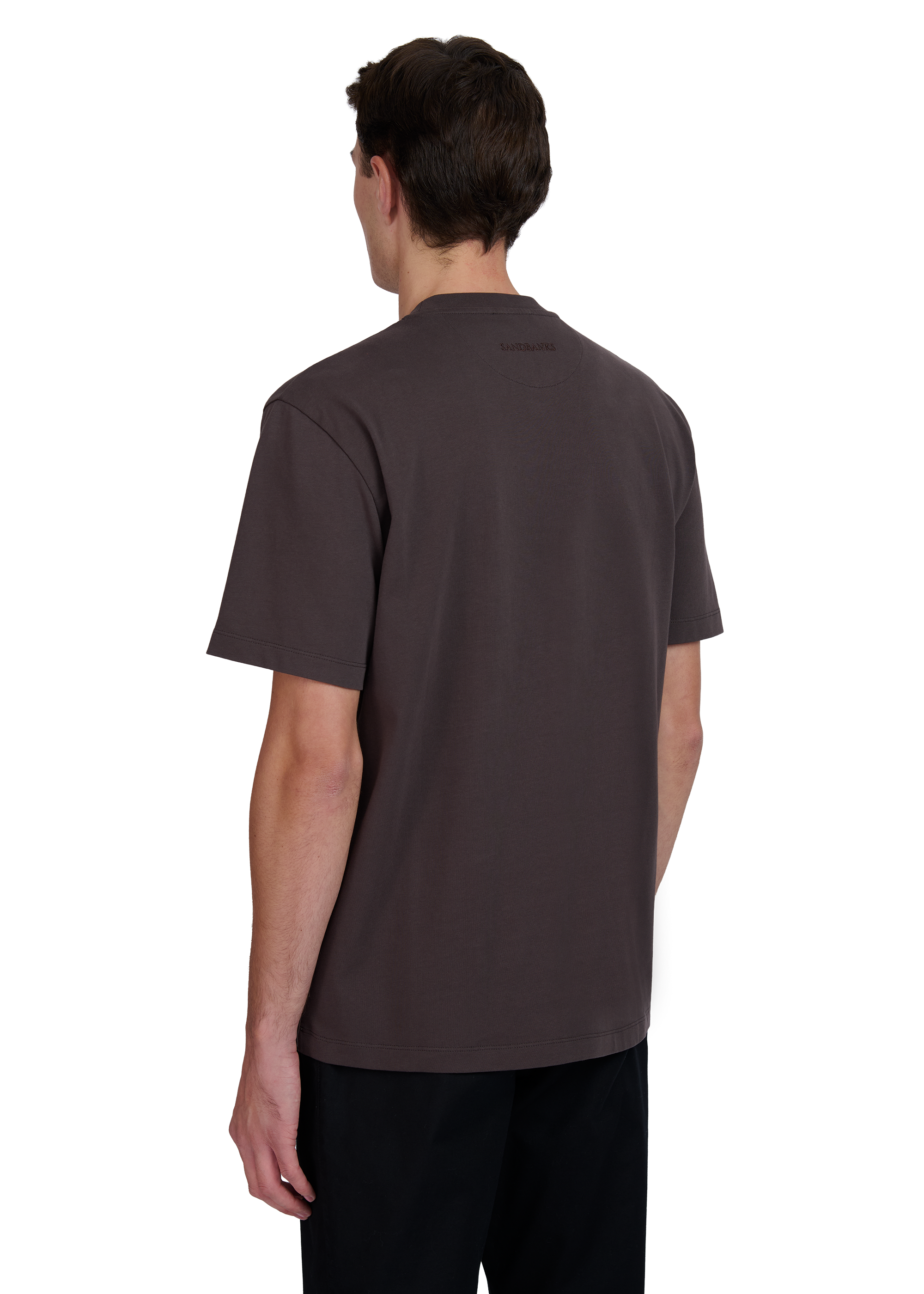 Model wearing a brown polo shirt on a white background
