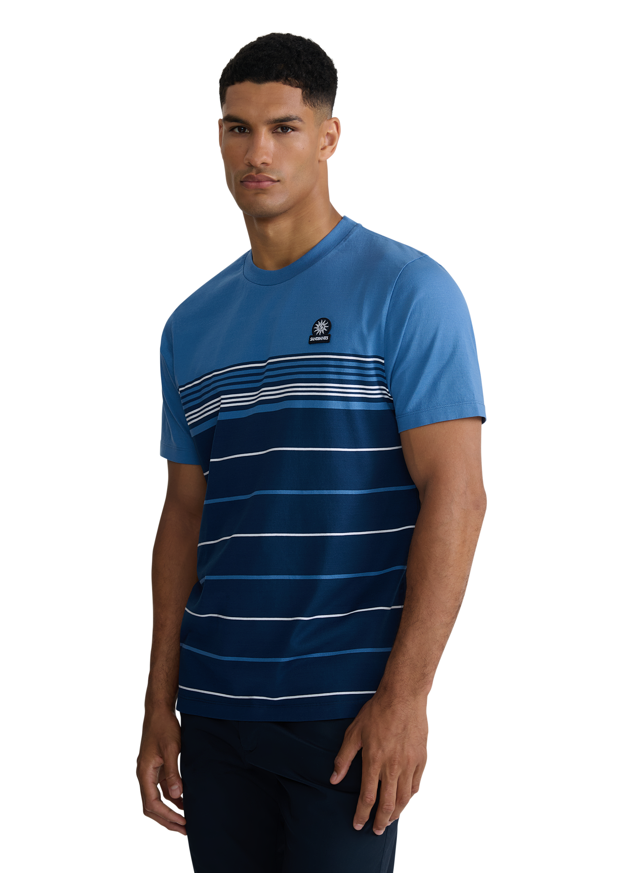 Engineered Multi Stripe Cotton T-Shirt - Teal/Navy