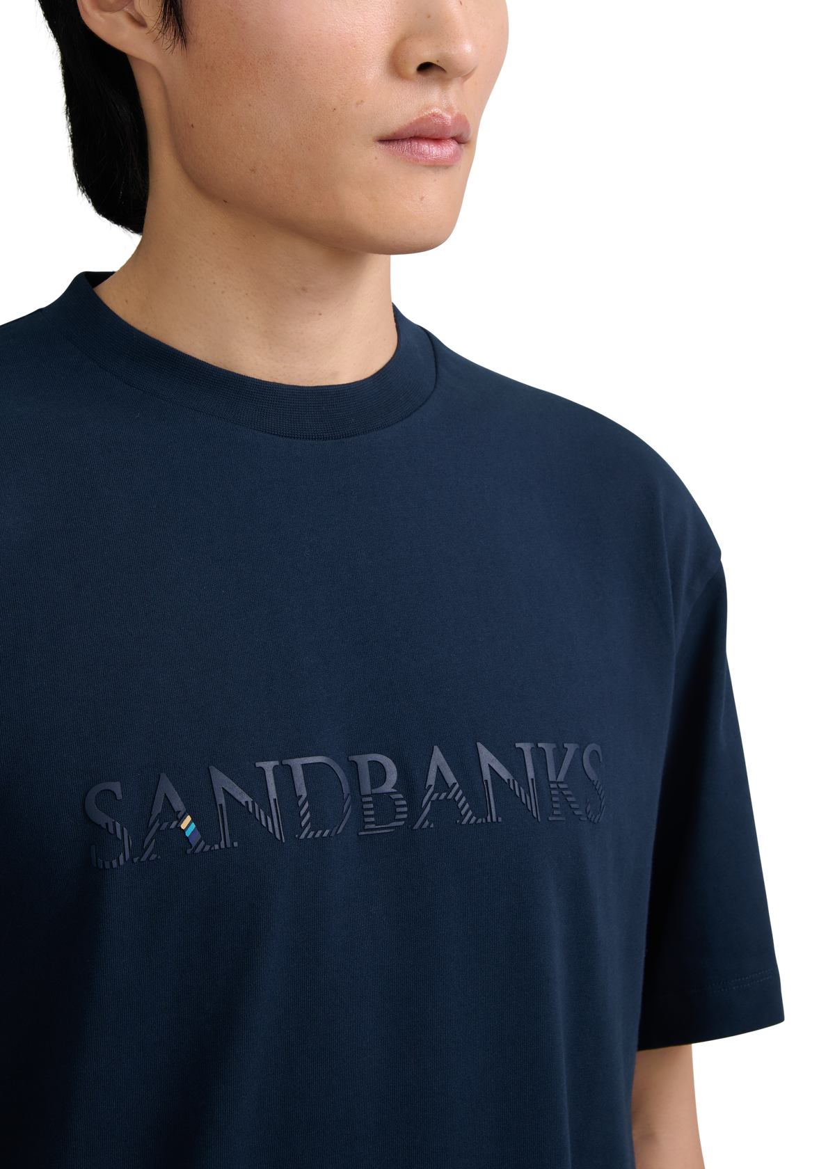 Raised Stripe Logo Print T-Shirt - Navy