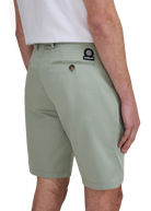 Cotton Chino Short - Sage